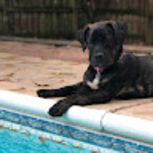 Meet your Posher, Makayla